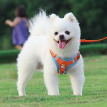 Load image into Gallery viewer, BL-867 Pet Chest Straps Reflective Dog Traction Rope, Size:, S, M, L, XL