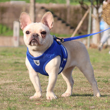 Load image into Gallery viewer, BL-844 Pet Chest Straps Reflective Breathable Dog Rope, Size:, XS, S, M, L, XL