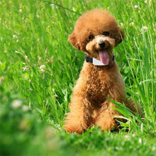 Load image into Gallery viewer, TK911 2G Pet Waterproof GPS Tracker, TK911
