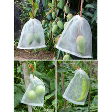Load image into Gallery viewer, Fruit &amp; Vegetable Insect-Proof And Bird-Proof Nylon Mesh Bag, Specification: 70x48cm, 45x30cm, 25x25cm, 45x15cm, 60x40cm, 70x48cm, 30x25cm, 55x35cm