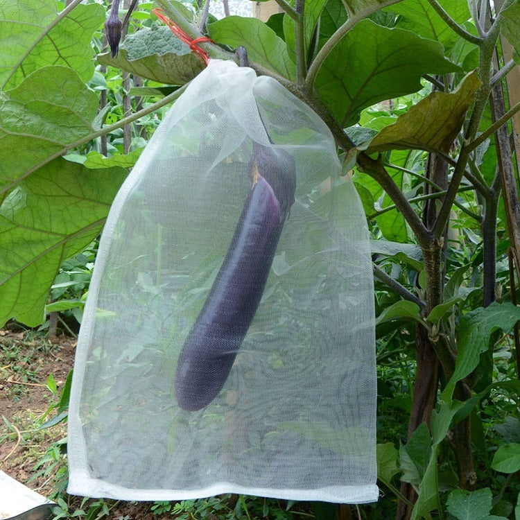 Fruit & Vegetable Insect-Proof And Bird-Proof Nylon Mesh Bag, Specification: 70x48cm, 45x30cm, 25x25cm, 45x15cm, 60x40cm, 70x48cm, 30x25cm, 55x35cm