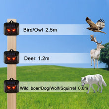 Load image into Gallery viewer, 209A Solar High Frequency Flash Nocturnal Animal Repeller, 209A  1pc