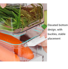 Load image into Gallery viewer, Fruit and Vegetable Refrigerator Crisper with Lid, With Lid, TY-9078, TY-9079, TY-9081, TY-9082