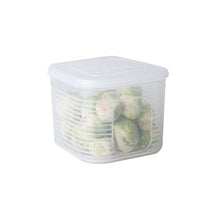 Load image into Gallery viewer, A2958 Chopped Onion Garlic Refrigerator Preservation Box with Lid, Small, 6-pieces / Sets, Dividered Box