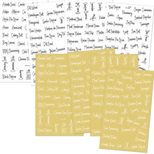 Load image into Gallery viewer, 276 PCS Transparent Waterproof Spice Labels 2 Color Combination Pantry Markers