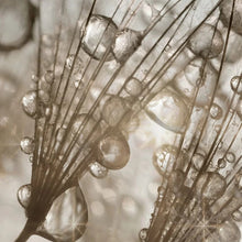 Load image into Gallery viewer, Sofa Background Wall Decorative Painting Hanging Paintings Frameless