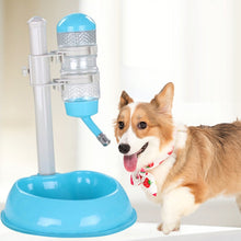 Load image into Gallery viewer, Pet Anti-Skid &amp; Leak-Proof Automatic Water Dispenser, Green, Wine Red, Rose Red, Blue