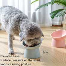 Load image into Gallery viewer, Pet Tall Protection Cervical Slant Mouth Food Bowl Anti-overturning Plastic Cat Bowl, Blue, Pink, Gray