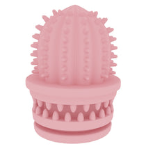 Load image into Gallery viewer, Pet Cleaning Teeth TPR Cactus Lightweight Bite-resistant Educational Toys, Cactus Avocado Green, Cactus Light Blue, Cactus Light Pink