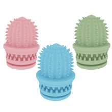 Load image into Gallery viewer, Pet Cleaning Teeth TPR Cactus Lightweight Bite-resistant Educational Toys, Cactus Avocado Green, Cactus Light Blue, Cactus Light Pink