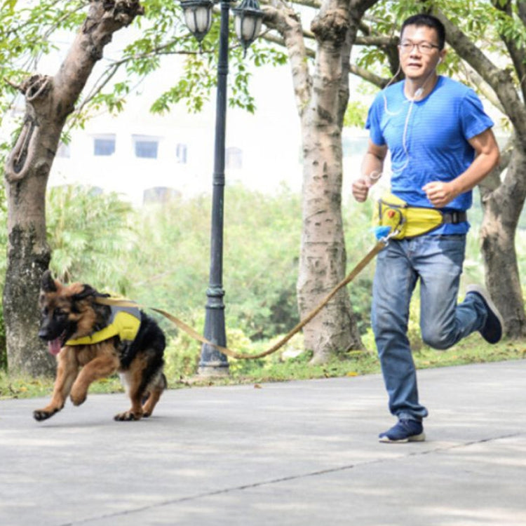 Lovoyager Pet Training Waist Bag Outdoor Walking Dog Snack Pocket, Lovoyager Blue, Lovoyager Yellow, Lovoyager Orange