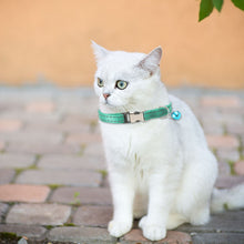 Load image into Gallery viewer, 2 PCS Night Reflective Nylon Cat Collar With Bell, No Carving Green, No Carving Sky Blue, No Carving Purple, No Carving Grass Green, No Carving Black, No Carving Rose Red