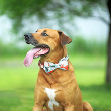 Load image into Gallery viewer, Rose Gold Buckle Pet Detachable Bow Collar, Size:, S 1.5x28-40cm, M 2.0x33-50cm, L 2.5x38-60cm, XL 2.5x43-70cm