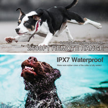 Load image into Gallery viewer, Intelligent Remote Control Dog Trainer Automatic Barking Stop Collar, Collar Black, Collar White