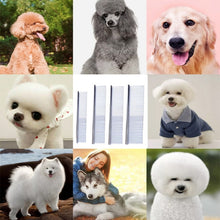 Load image into Gallery viewer, Stainless Steel Pet Comb Pet Hair Comb, Specification: XL, XS, M, L, XL