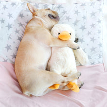Load image into Gallery viewer, Hoopet Dog Biting Toy Pet Plush Duckling Sound Toy, Small, Large