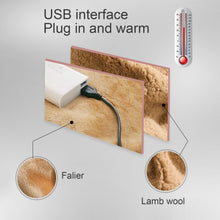 Load image into Gallery viewer, 5V USB Electric Blanket Multi-functional Hand Warmer Knee Pad Farai Fleece Blanket, Style 2 (Camel), Style 2 (Pink)