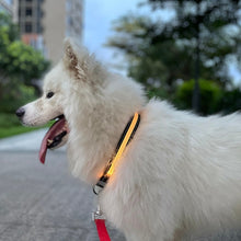 Load image into Gallery viewer, LED Rechargeable Wear-resistant and Waterproof Pet Lighting Collar, Size:, XS, S, M, L