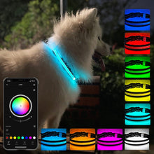 Load image into Gallery viewer, LED Rechargeable Wear-resistant and Waterproof Pet Lighting Collar, Size:, XS, S, M, L