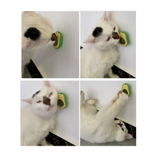 Load image into Gallery viewer, Catnip Balls And Avocado Teasing Cat Teeth Cleaning Toy, Mint Ball, Gall Fruit