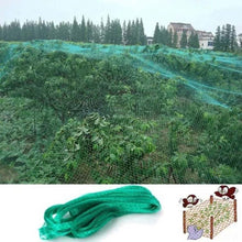 Load image into Gallery viewer, Anti Bird Protection Net Mesh Garden Plant Netting Protect Plants and Fruit, 2Mx10M, 4Mx5M, 4Mx10M, 4Mx12M, 5Mx10M, 5Mx20M, 4Mx15M