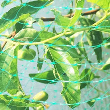 Load image into Gallery viewer, Anti Bird Protection Net Mesh Garden Plant Netting Protect Plants and Fruit, 2Mx10M, 4Mx5M, 4Mx10M, 4Mx12M, 5Mx10M, 5Mx20M, 4Mx15M