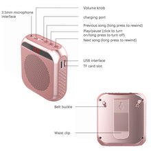 Load image into Gallery viewer, S17 Mini Portable Tour Guide Teaching Loudspeaker with Screen Display, S17 (Cool Black)