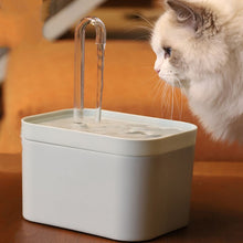Load image into Gallery viewer, Cat Automatic Circulation Flow Drinking Fountain, US Plug (110V), EU Plug (230V), USB (5V), USB Anti-drying