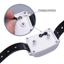 Load image into Gallery viewer, KD-661 500m Wireless Electric Dog Pet Fence Shock Collar,Spec:, For One Dog, For Two Dog, For Three Dog