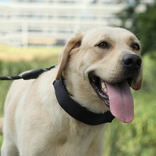 Load image into Gallery viewer, Cloth Tape Paste Detachable Training Stimulation Dog Collar, M 2.5mm x 35cm, L 3.0mm x 50cm, XL 3.5mm x 55cm, XXL 4.0mm x 60cm