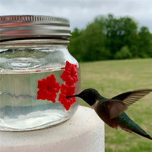 Load image into Gallery viewer, Hanging Bird Feeder Outdoor Hummingbird Feeder, Jar, Bulb