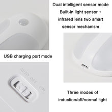 Load image into Gallery viewer, USB Rechargeable Firefly Smart Body Sensor LED Light, White Light