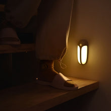 Load image into Gallery viewer, USB Rechargeable Firefly Smart Body Sensor LED Light, White Light