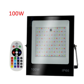 Colorful RGB Changing LED Flood Light With Remote Control, 30W, 100W