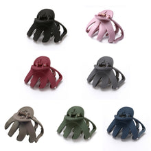 Load image into Gallery viewer, 10 PCS Frosted Ladies Coiffure Hair Grab Hair Clip