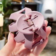 Load image into Gallery viewer, 10 PCS Frosted Ladies Coiffure Hair Grab Hair Clip