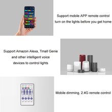 Load image into Gallery viewer, WIFI Wireless Symphony Light Bar Music Smart APP 2.4G Controller, Single Head, Double Head