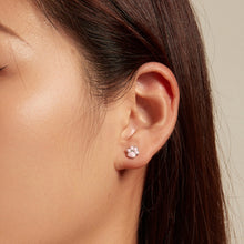 Load image into Gallery viewer, Sterling Silver S925 Cute Cat Claw Platinum Plated Stud Earrings, SCE1516-A