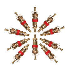 Load image into Gallery viewer, 10pcs /Set Valve Core Gas Needle Car Tires Universal Vacuum Tire Exhaust Valve