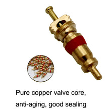Load image into Gallery viewer, 10pcs /Set Valve Core Gas Needle Car Tires Universal Vacuum Tire Exhaust Valve