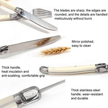 Load image into Gallery viewer, Stainless Steel Knife Fork Spoon Set Plastic Handle Western Tableware, 3 In 1, 4 In 1, 6 Knives, 6 Forks, 6 Spoons, 6 Tea Spoons