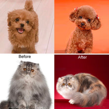 Load image into Gallery viewer, Pet Grooming Scissors Dog Cat Hair Trimming Haircutting Tools, Style:, Straight Shear, Teeth Shears, Curved Shears