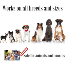 Load image into Gallery viewer, Pet Ultrasonic Bark Stopper Dog Trainer, Random Color Delivery, Specification: UL10, UL10, UL20
