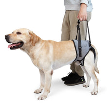Load image into Gallery viewer, Dog Hind Leg Auxiliary Strap Decompression Auxiliary Travel Belt For Elderly and Injured Dog, S, M, L