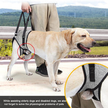 Load image into Gallery viewer, Dog Hind Leg Auxiliary Strap Decompression Auxiliary Travel Belt For Elderly and Injured Dog, S, M, L