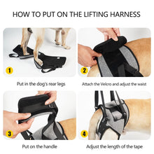 Load image into Gallery viewer, Dog Hind Leg Auxiliary Strap Decompression Auxiliary Travel Belt For Elderly and Injured Dog, S, M, L
