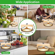 Load image into Gallery viewer, SK111 Pet Household Flea Lamp Flea Sticky Trapper Flea Capture Device, 2pcs US Plug, 2pcs EU Plug, 2pcs UK Plug, 2pcs AU Plug
