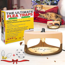 Load image into Gallery viewer, SK111 Pet Household Flea Lamp Flea Sticky Trapper Flea Capture Device, 2pcs US Plug, 2pcs EU Plug, 2pcs UK Plug, 2pcs AU Plug