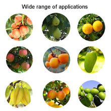 Load image into Gallery viewer, Stainless Steel Aerial Fruit Picker Fruit Picking Tools, With Rod 4 Sections 1.6m, With Rod 6 Sections 2.4m, With Rod 9 Sections 3.6m, With Rod 10 Sections 4m