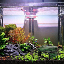 Load image into Gallery viewer, Resin Turtle Sunbed Climbing Table Stump Hideaway House Sunback Table, GT026, GT023, GT149, GT001, GT013S, GT013M